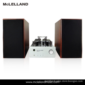 Vacuum Tube Power Amplifier (TP-9)